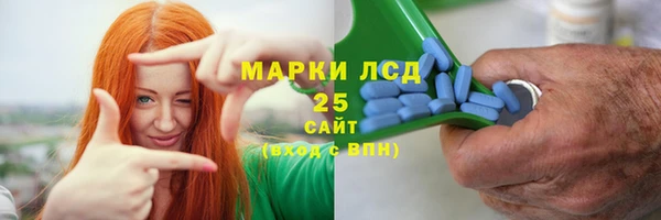 ПСИЛОЦИБИНОВЫЕ ГРИБЫ Верхнеуральск