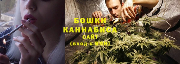 стаф Бородино