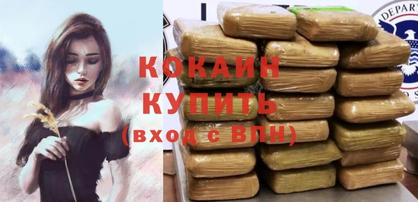 шишки Бронницы
