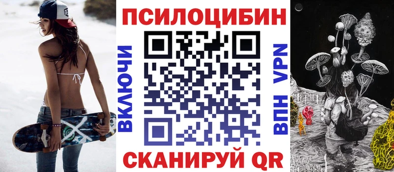 Галлюциногенные грибы Psilocybine cubensis  Ипатово 