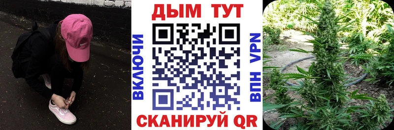 Бошки Шишки MAZAR  Ипатово 